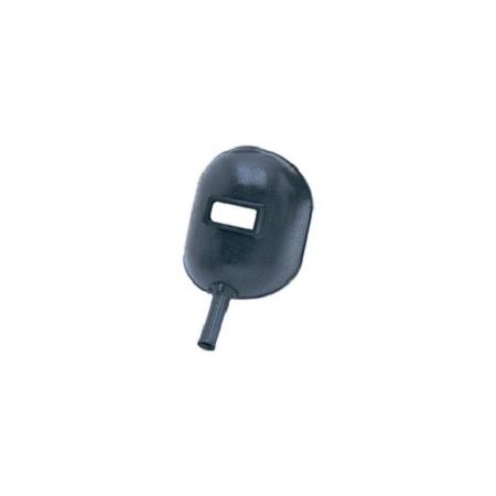 Foto sobre Mauris const equat