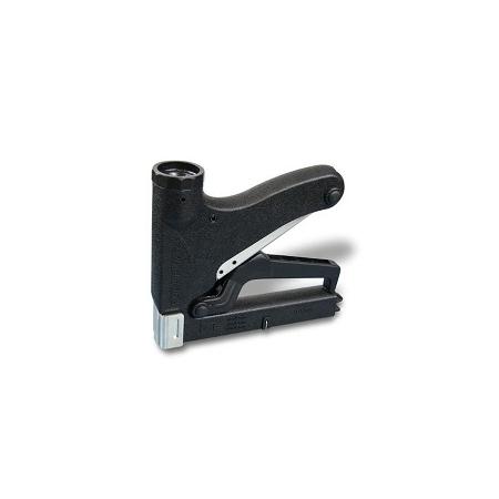 Foto sobre Mauris const equat