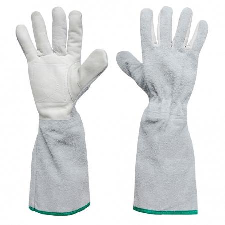 Foto sobre Mauris const equat