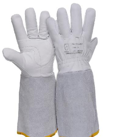 Foto sobre Mauris const equat