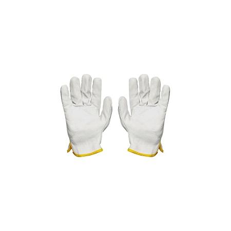 Foto sobre Mauris const equat