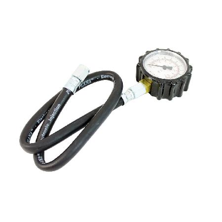 Foto sobre Mauris const equat