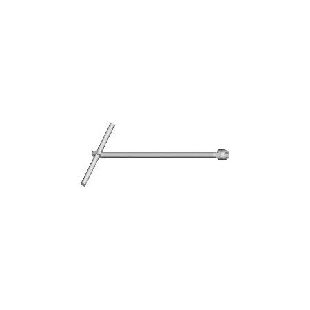 Foto sobre Mauris const equat