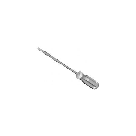 Foto sobre Mauris const equat