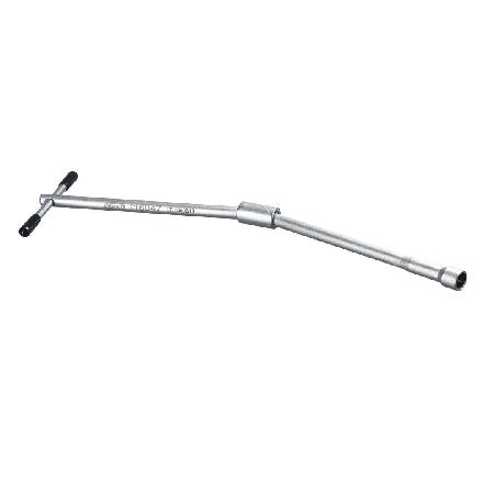 Foto sobre Mauris const equat