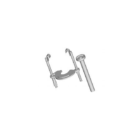 Foto sobre Mauris const equat