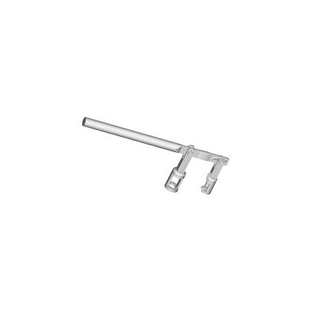 Foto sobre Mauris const equat