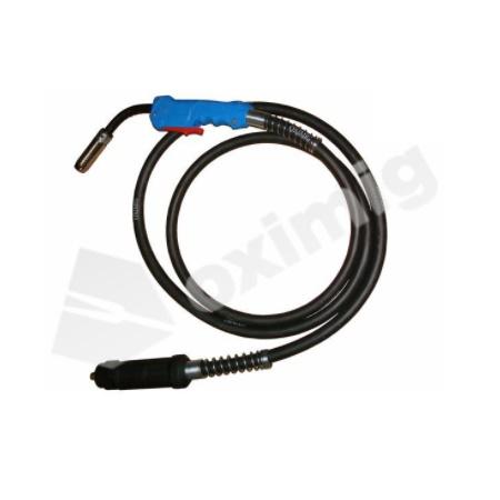 Foto sobre Mauris const equat