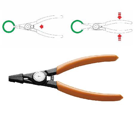 Foto sobre Mauris const equat