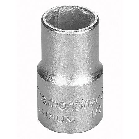 Foto sobre Mauris const equat