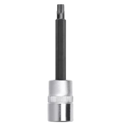 Foto sobre Mauris const equat