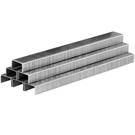 Foto sobre Mauris const equat