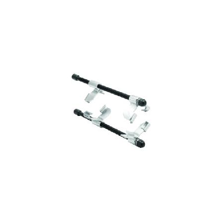 Foto sobre Mauris const equat