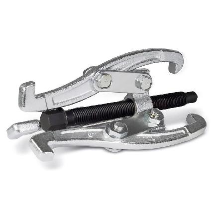 Foto sobre Mauris const equat