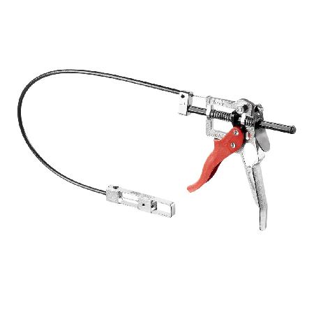 Foto sobre Mauris const equat