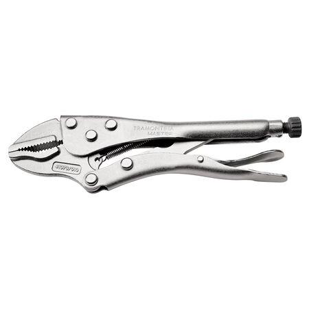 Foto sobre Mauris const equat