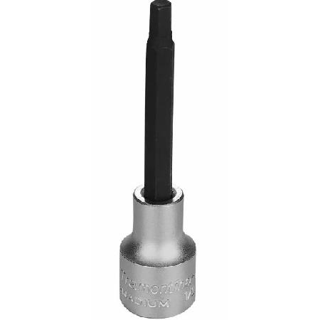 Foto sobre Mauris const equat