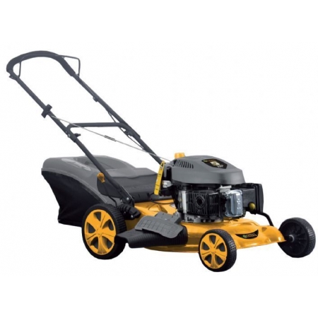 Foto sobre Mauris const equat