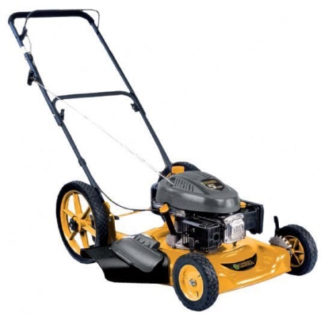 Foto sobre Mauris const equat