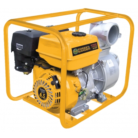 Foto sobre Mauris const equat